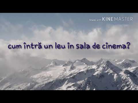 5 probleme de logica