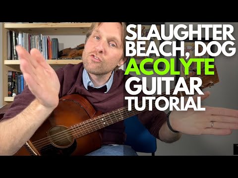 Acolyte - Slaughter Beach, Dog