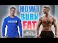 How I’m Going To Get Shredded | My Current Fat Loss Routine Explained | Zac Perna