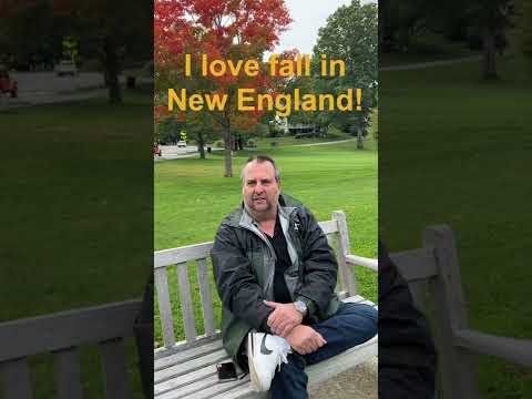 The fall real estate market in Lexington, MA