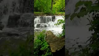 100% Relax! 🌿 Belle rivière en sous-bois pour chasser tous vos soucis 📱 Fond d'écran smartphone