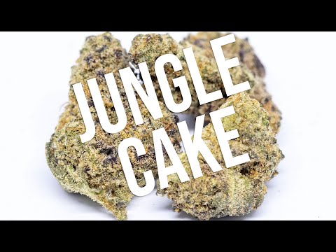 Jungle Cake