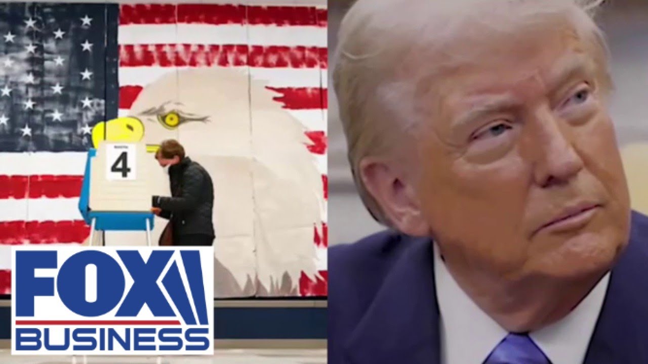 ‘ONLY American citizens’ should be deciding the outcome of our elections: Former Trump official