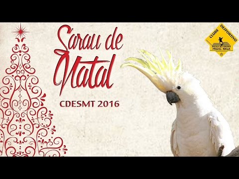 XI Sarau de Natal CDESMT 2016 - Catatuas