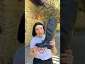 Сапоги женские кожаные байка 596793 Черные Відео
