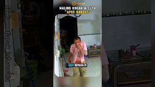 Download lagu A HILARIOUS, VERY UNLUCKY THIEF mp3 Download lagu A HILARIOUS, VERY UNLUCKY THIEF mp3