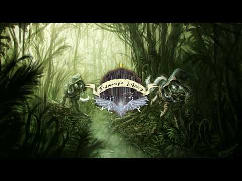 Spikey Wikey - In The Jungle [Jungle]