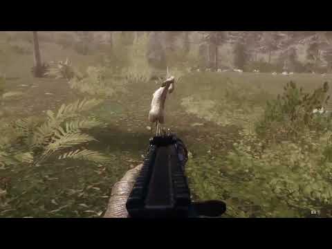 When theHunter Classic Shuts Down: Building My Own Hunting Simulator (v0.1.0)