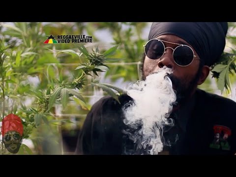 Ras Attitude - Marijuana (We Ah Bun) [Official Video 2016]