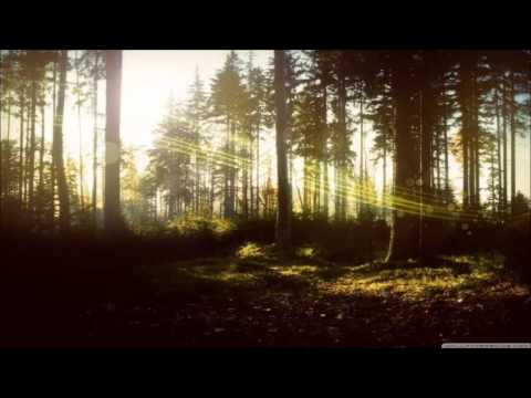 XGenic - Around Me (The Flyers & Mike Sonar Remix)