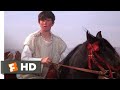 The Black Stallion Returns 1983 Winning The Race Scene 11 12 Movieclips