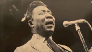 Muddy Waters - My John The Conqueror Root