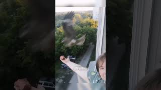 Big fails 😅🤣😁 #shortsfails #shortvideo #failsvideo