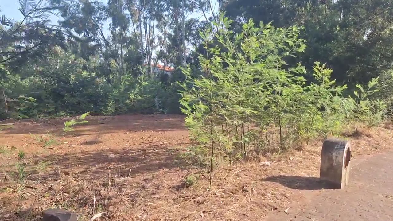 Vídeo do imóvel