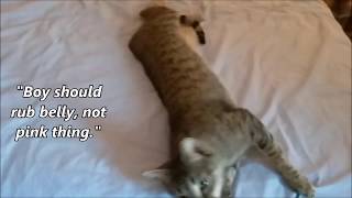 So Many Kind People!!  Thank you!