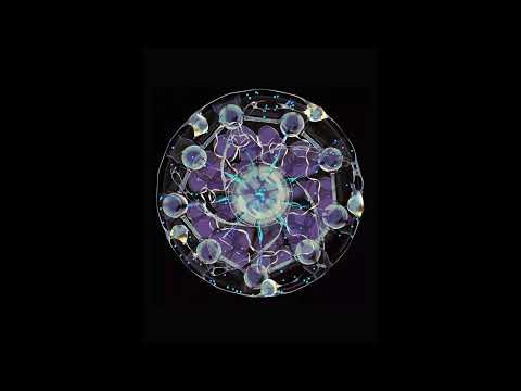 Forest on Stasys - Lotus Island (Feral reconstruction)