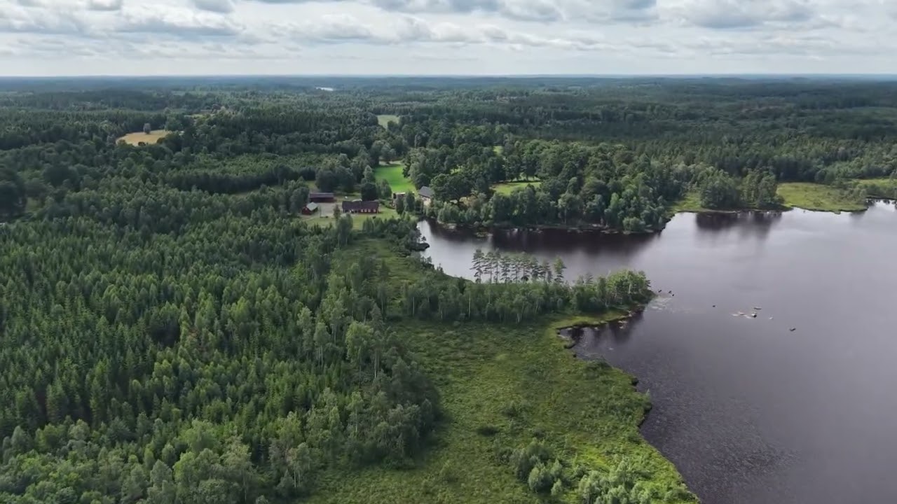 Gård/skog på Hamsarp Sjögården 1257 Osby kommun - video