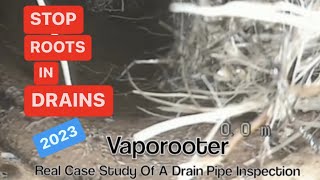How to Remove Roots from Drain Pipes. Vaporooter Case Study