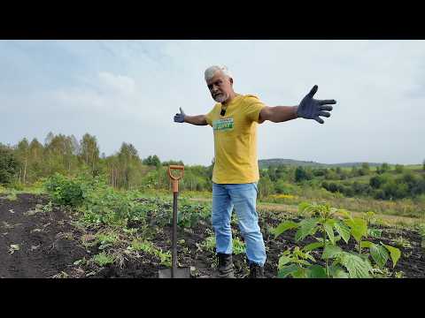 Вперёд, товарищи! На дачу! Выпуск от 01.09.26