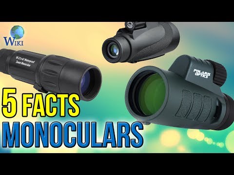 Vedere binoculară Formarea vederii binoculare