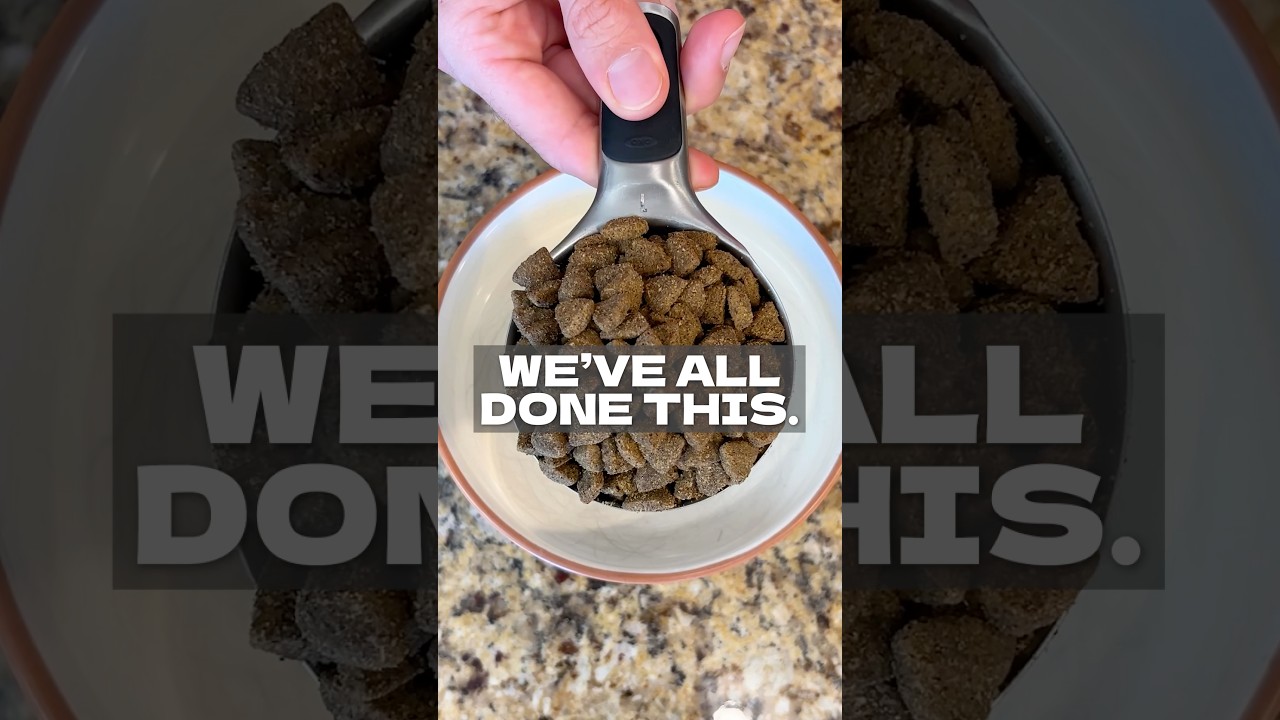 What’s your kibble storage setup like? 👇