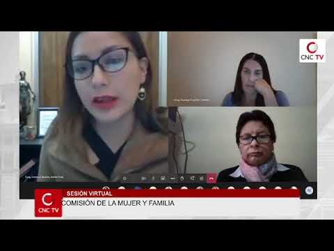 Arlette Contreras expone PL 4941 #MujeresSeguras