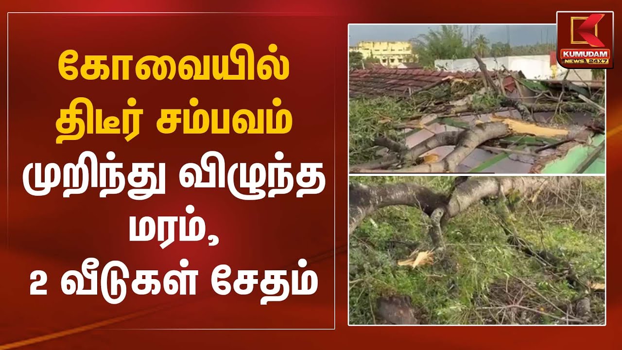 கோவையில் திடீர் சம்பவம் – முறிந்து விழுந்த மரம், 2 வீடுகள் சேதம் | Kovai House Damaged| Kumudam News