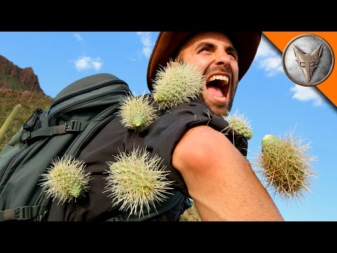 EXTREMEサボテン攻撃! (EXTREME Cactus Attack!)