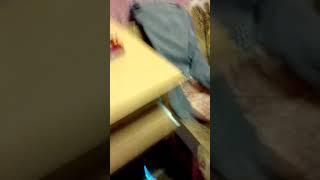 Обзор скоро выйдет фильм пеннивайз Оно