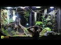 A Disaster and Crisis in My Giant Rainforest Vivarium