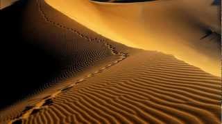 Dark Circle Knights - The Desert (Lyrics)