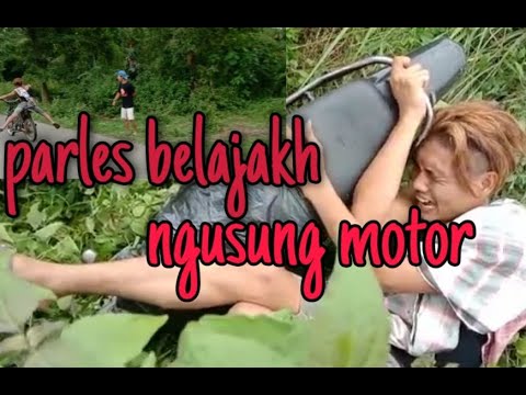 parles-belajakh-ngusung-motorparles-belajar-bawa-motor
