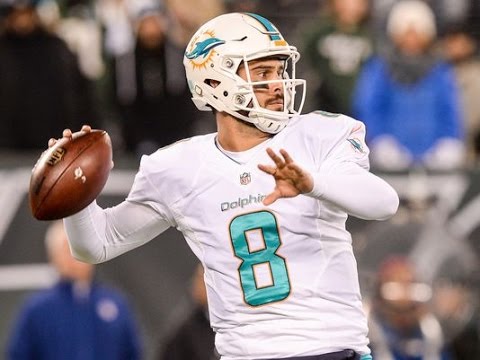 Matt Moore vs Jets (NFL Week 15 - 2016) - 236 Yards, 4 TDs + INT! | NFL Highlights HD