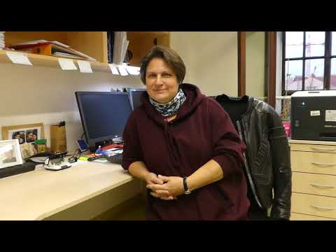 Infotage - Informatik ab 17 - AV Steinwender beantwortet FAQs