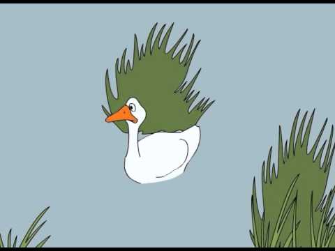 As Histórias da Carochinha - Pedro e o Lobo