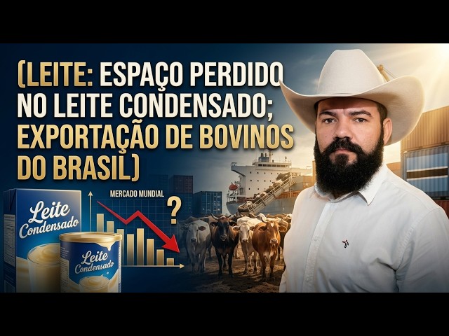 Leite: Espaço Perdido no LEITE Condensado; Exportação de BOVINOS do Brasil.