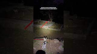 Download lagu KUCING INDIGO❓😱 #trending #shorts #hororkomedi #creepy #hantu #horror #kuntilanak mp3