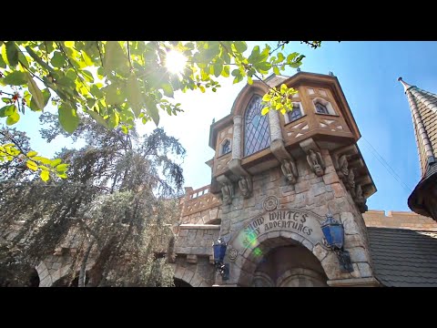 TDW 1895 - Inside Fantasyland with My Broken Camera