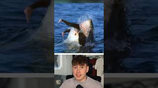 Hai GREIFT Taucher an!