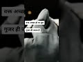 Waqt Acha Ho Ya Bura Gujar Hi Jata Hai Latest Status