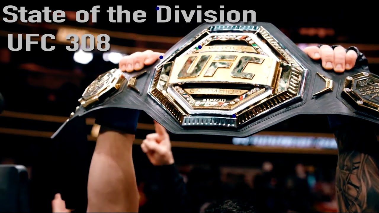 State of the Division: UFC 308