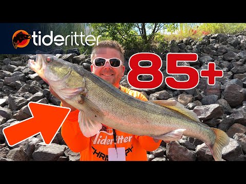 85+ ZANDER? GUNKI TOURNEMENT 2018!