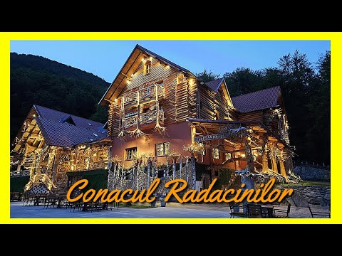 Can you really make a mansion out of tree roots? The Root Mansion. 4K