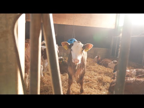 Effelter pfeift auf Energieriesen - Energiewende im Frankenwald