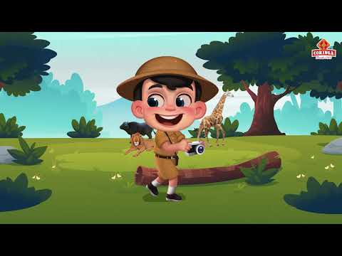Coringuitos um mundo de aventuras!