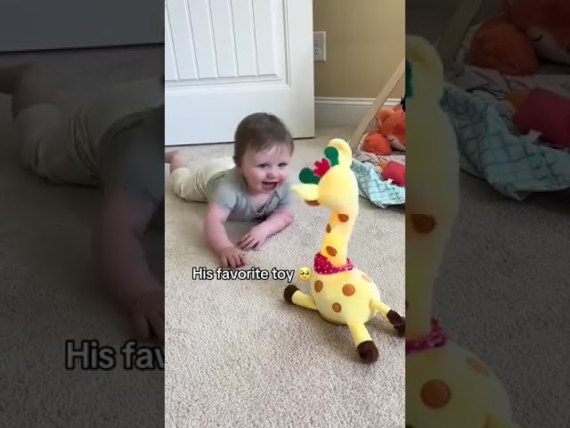 Vídeo relacionado con AUNGCSHE Peluche Jirafa, Llevando Bufanda Jirafa Peluche, Lindo Juguete Peluche, Suave y Esponjoso, Abrazar y Jugar, un Gran Regalo de Cumpleaños(Jirafa)