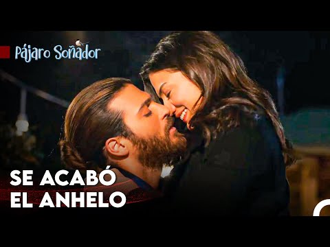 Dos Amantes Reunidos - Pájaro Soñador