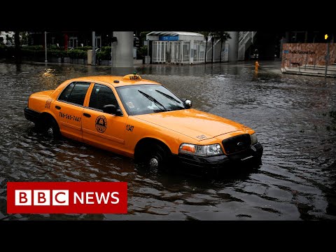 熱帶風暴艾塔在佛羅裡達州登陸 - BBC News (Tropical Storm Eta makes landfall in Florida - BBC News)