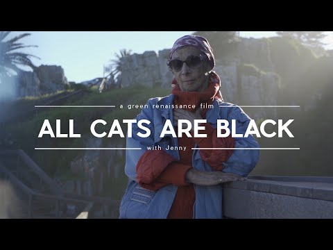 ALL CATS ARE BLACK - It's Not How One Looks That Is Important