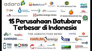 Download lagu 15 Largest Coal Mining Companies in Indonesia in 2023 mp3